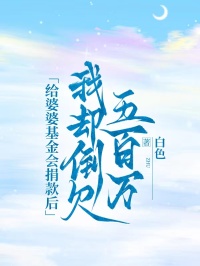 给婆婆基金会捐款后，我却倒欠五百万